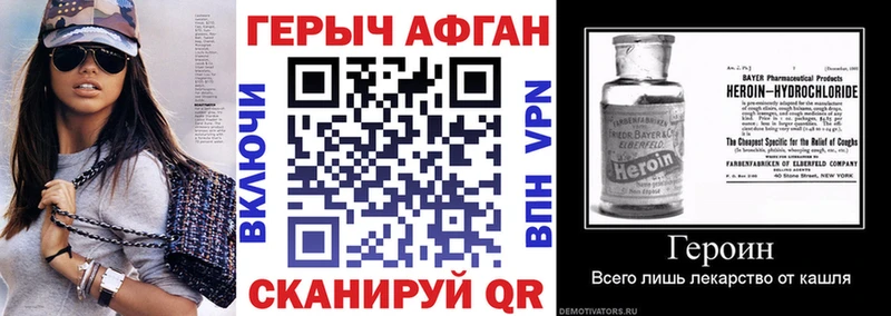 ГЕРОИН хмурый Элиста