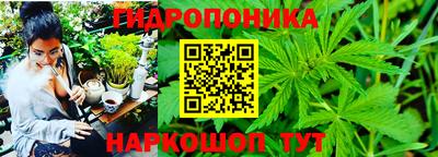 мяу мяу мука Рязань