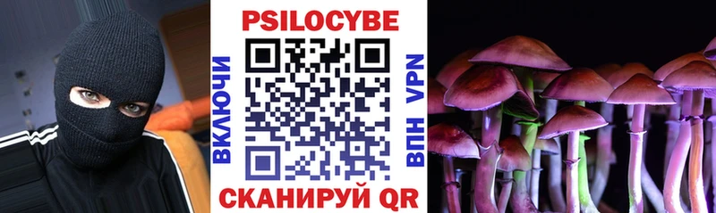 где купить наркоту Элиста Галлюциногенные грибы прущие грибы