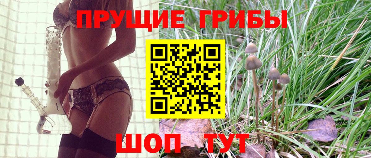 Галлюциногенные грибы MAGIC MUSHROOMS Элиста