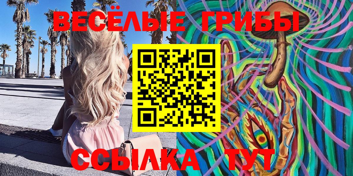 Элиста  Галлюциногенные грибы GOLDEN TEACHER  Вход с VPN  Псилоцибиновые грибы ЛСД 
