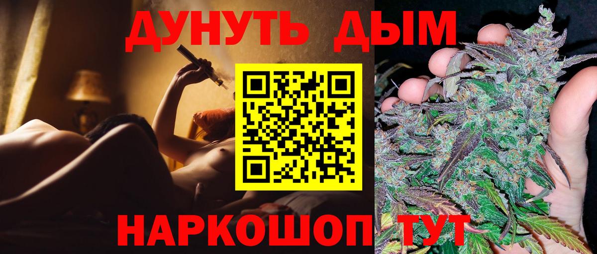 МЕФ Элиста